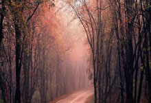 九游体育-卡尔蒂斯赛前战术培训,提升比赛执行力