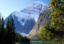 九游娱乐首页-塔斯马尼亚联新星爆发，挑战蒙特雷防线坚固