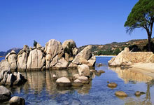 九游娱乐首页-塔斯马尼亚联新星爆发,挑战蒙特雷防线坚固