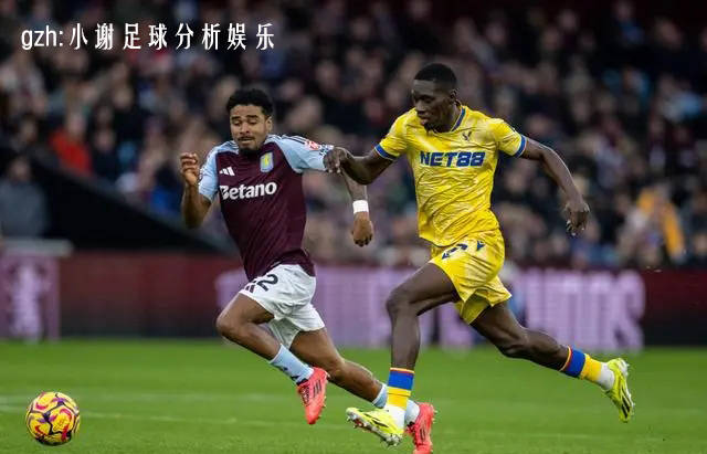 纽卡斯尔主场不敌阿斯顿维拉，难以逆转颓势的简单介绍