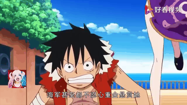 九游中国-符拉明戈球队实力不俗,胜算不小的简单介绍