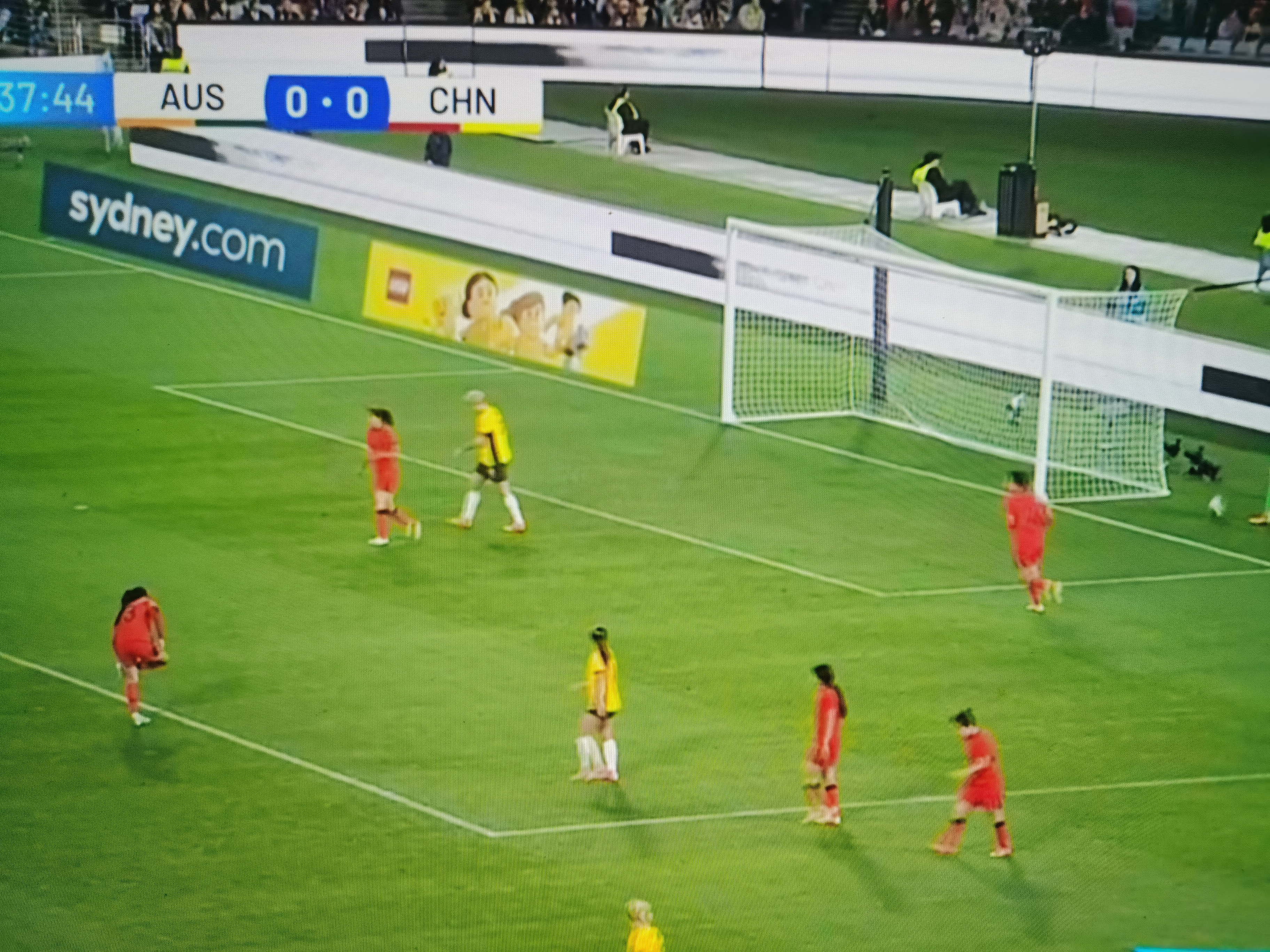 澳大利亚女足遭遇两连败 澳大利亚女足遭遇两连败