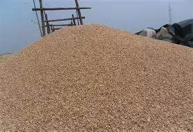 沙努尔鲁夫球队晋级,迎接新挑战 沙努尔鲁夫球队晋级,迎接新挑战