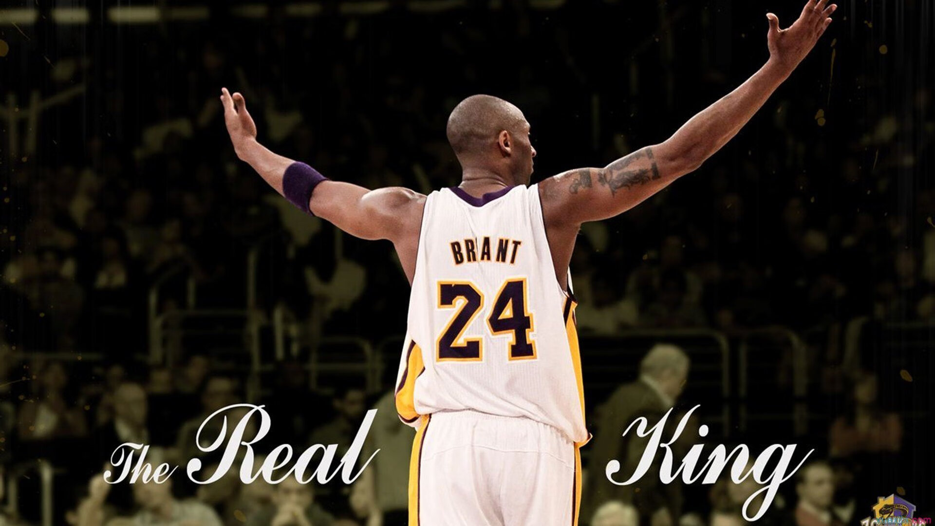 晨星斩落黄昏,当小贾伦的怒吼响彻丰田中心,湖人的旧日荣光正被火箭的青春火焰焚毁